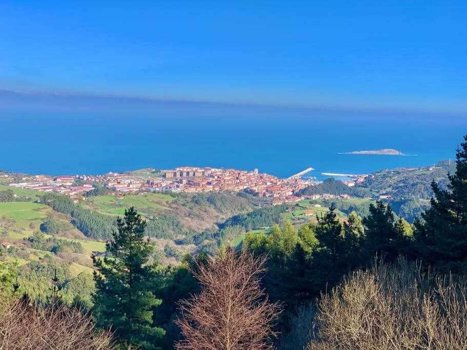 Ostadar Etxea Centrico Apartamento Reformado بيرميو المظهر الخارجي الصورة